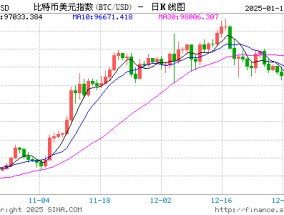 特朗普上台后，谁将成为2025年加密货币的主要采用者？