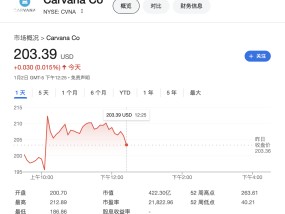 “做空印度”的兴登堡瞄准华尔街宠儿：二手车商Carvana是“世纪会计欺诈”