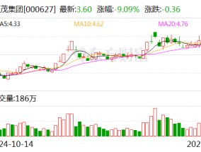 天茂集团：公司尚未实施回购方案