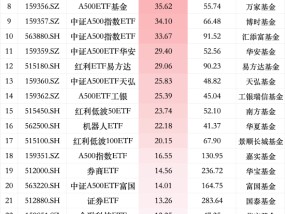 12月最受青睐ETF：广发中证A500ETF龙头获净申购65.47亿元，华夏A500ETF基金获净申购64.42亿元（名单）