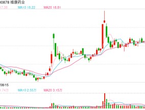 又一家！维康药业及实控人被立案 曾因1.42亿元资金占用收监管罚单