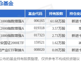 1月2日电科数字跌6.90%，建信中证1000指数增强A基金重仓该股