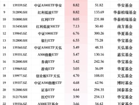 最受青睐ETF：上周华泰柏瑞中证A500ETF基金获资金净申购26.05亿元，南方中证1000ETF获资金净申购25.90亿元