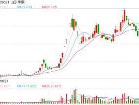 两家公司同时公告债务逾期，股价应声大跌