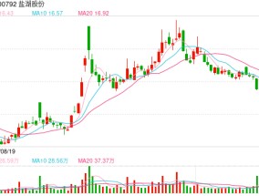 盐湖“航母”要来了？盐湖股份迎新东家中国五矿，收购溢价35%