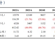 【东吴电新】永兴材料2024年业绩预告点评：Q4业绩符合预期，成本优势显著