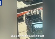 “园区里都是铁栏杆，到处都喷溅血迹”，缅北电诈更多犯罪细节曝光