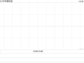 中华银科技拟溢价约132.56%发行合共1606.6万股换股股份 净筹约1580万港元