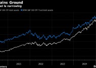 资金流入势不可挡 Vanguard的标普500指数基金有望成为全球最大ETF