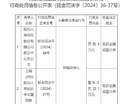 阳光人寿延边中心支公司因欺骗投保人被罚5万元