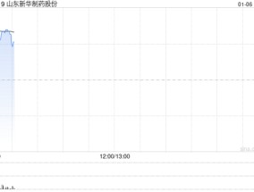 山东新华制药股份高开逾4% 抗流感药物销量持续增长