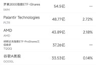 1月3日美股成交额前20：特斯拉大涨8.2%，12月国内销量创新高