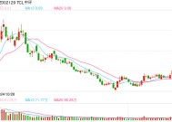 TCL中环原董秘秦世龙履新晶澳科技 武廷栋或转业务岗VP