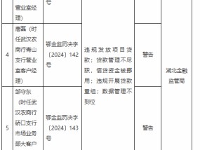 武汉农村商业银行被罚365万元：因违规发放项目贷款等违法违规行为