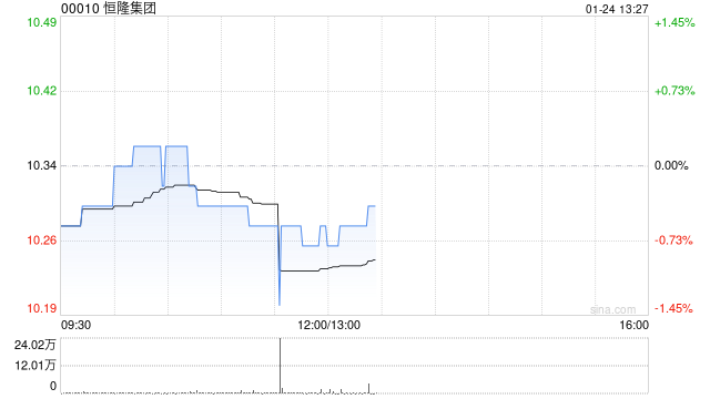 恒隆集团发布2024年度全年业绩 股东应占纯利16.13亿港元同比减少42.62%